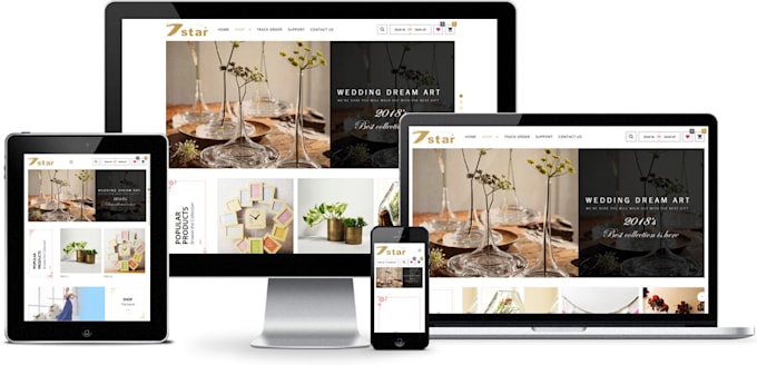 design a responsive wordpress website or a custom website