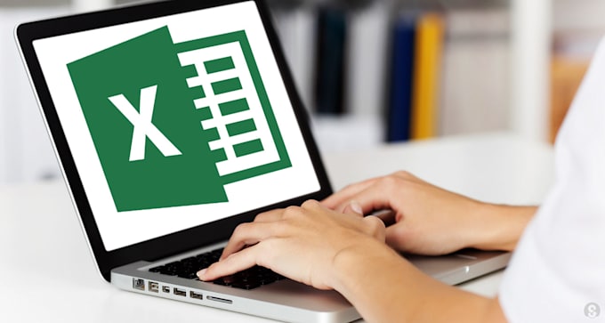 do any type of data entry on ms excel