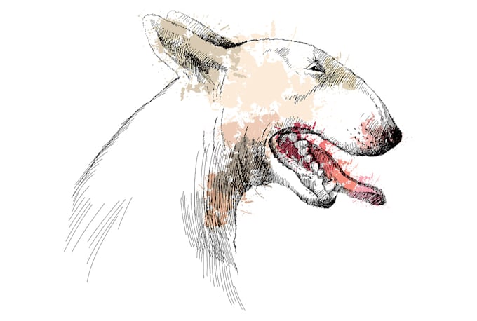 Review I will drawn a highly detailed sketch, illustration in black