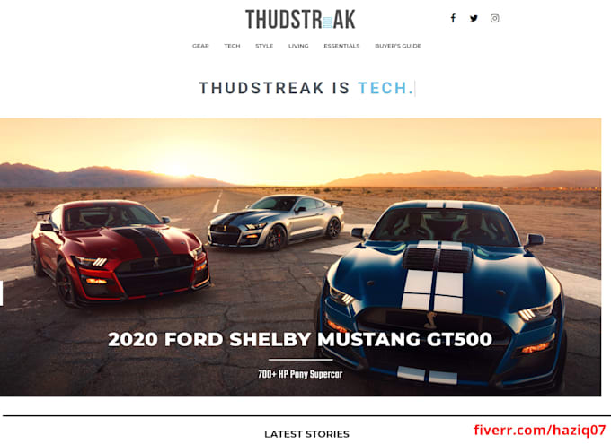 design a professional wordpress website or blog