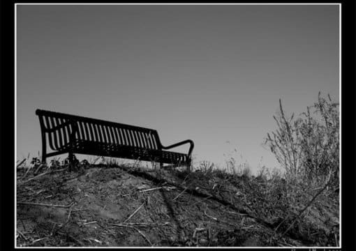 improve a photograph you took, perfecting exposure, removing elements or fixing problems
