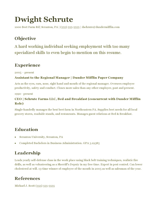 Write Your Resume And Cover Letter For You By Poet Artist