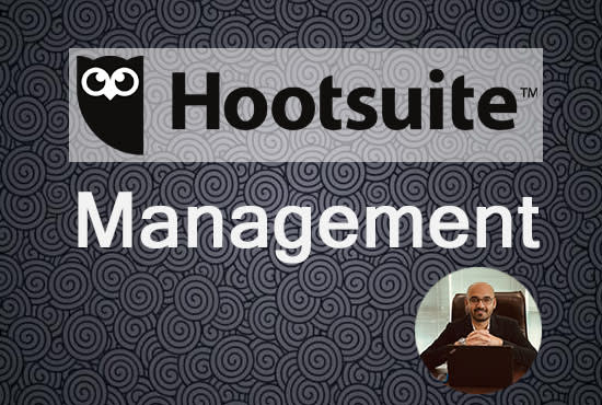 professionally manage hootsuite for you