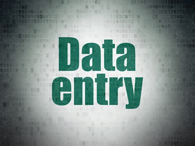 do excel data entry in 4 to 6 hour