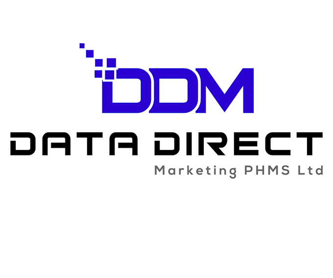 do professional modern business logo design