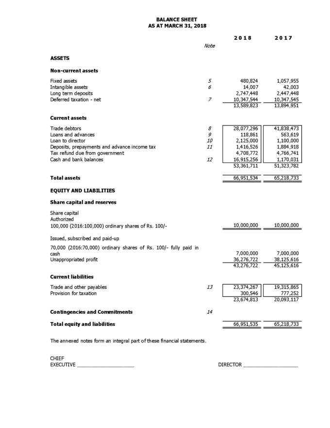 Prepare financial statement , accounts in companies house ...