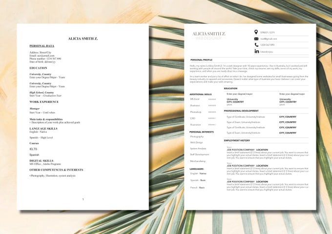 Translate English To Spanish Cv Resume By Mfdsign
