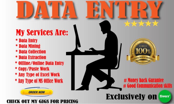do online and offline data entry work