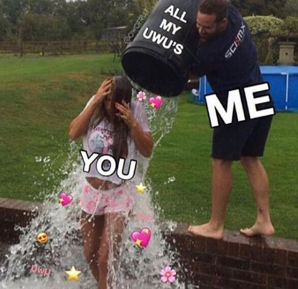 Edit your photo and make it a real love meme by Darling ...