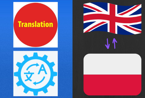 provide professional english to polish translation