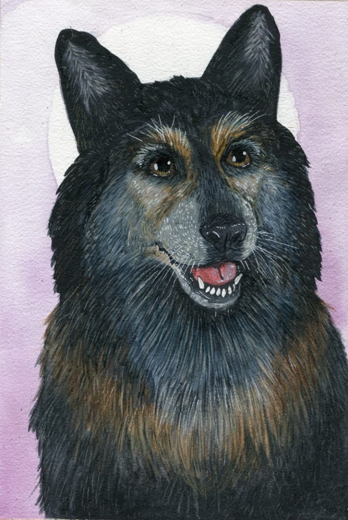 Pet Portraits Paintings Or Drawings By Isbergillu