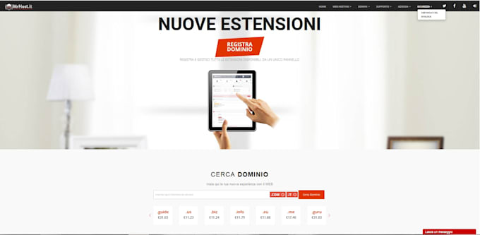 provide web development services starting