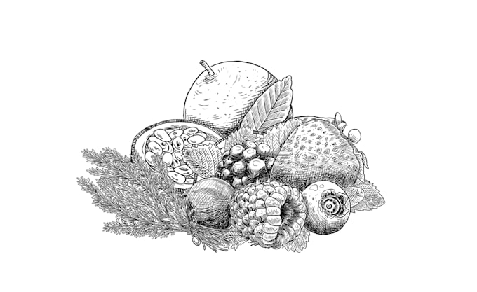 draw digital vintage drawing and hand drawn illustration