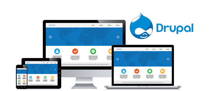 build professional and ecommerce website using drupal