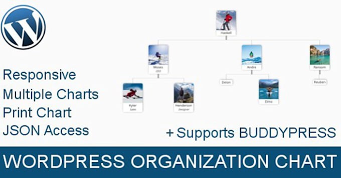 draw organization chart for wordpress