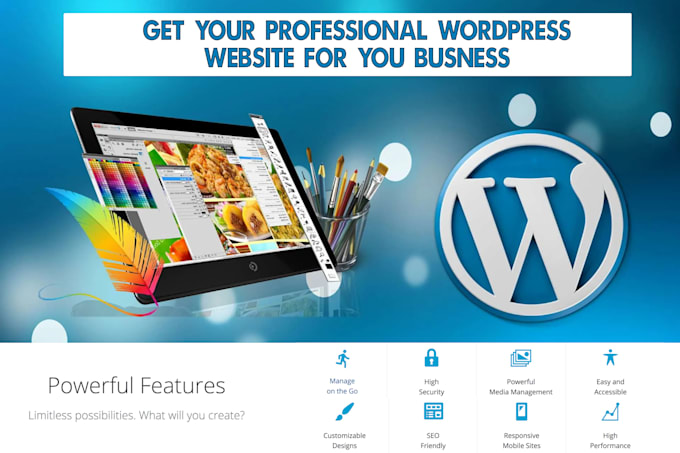 design and develop a professional responsive wordpress website for you