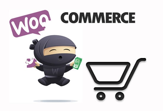 do website in wordpress or woocommerce