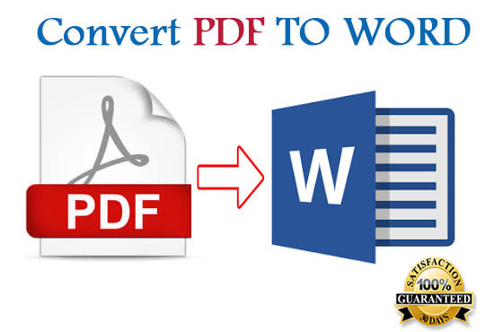 convert PDF to word by typing 10 pages document