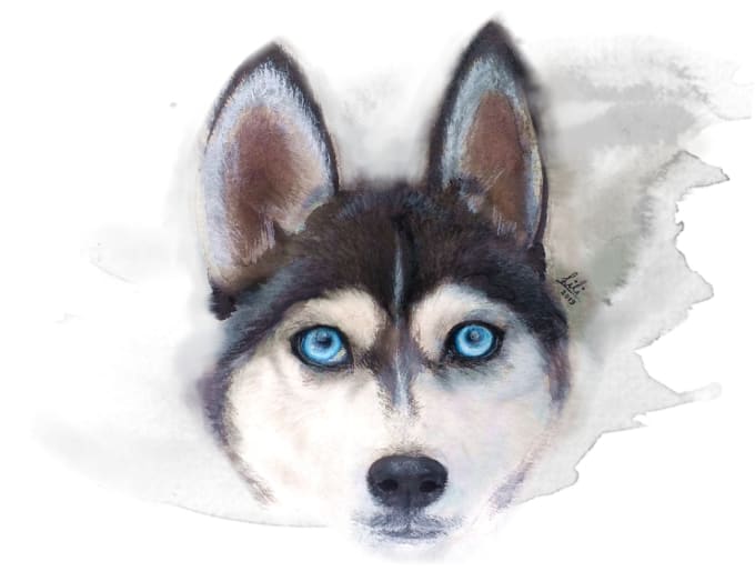 Draw Dope Anime Or Realistic Style As A Profile Picture By Lolilita77 Husky anime fanart character design zelda chinese fandoms fictional characters manga. draw dope anime or realistic style as a