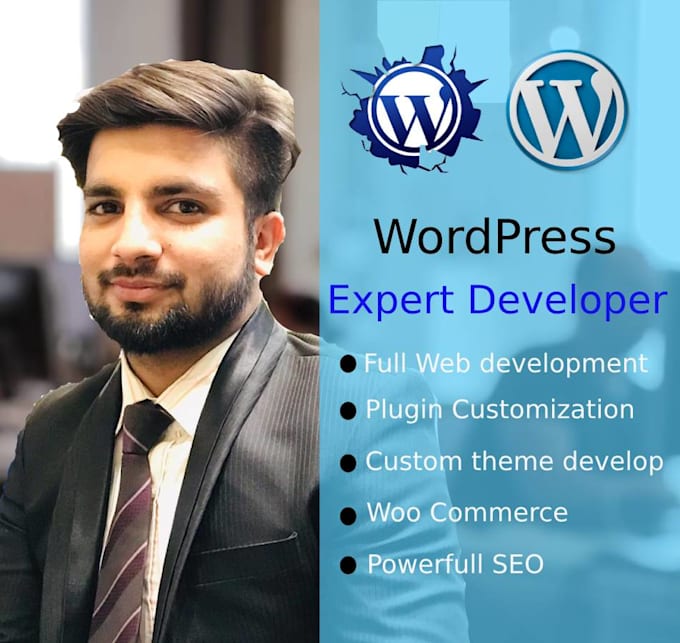 develop wordpress website and plugins