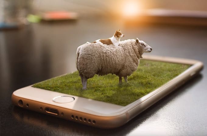 3d Pop Out Effect By Orshmueli