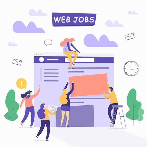 develop a professional wordpress website or web design