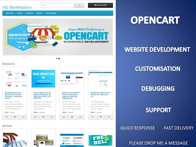 fix your php opencart website