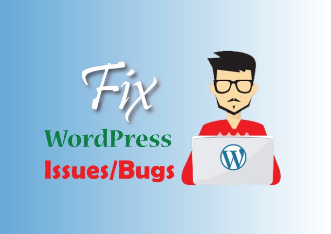 fix bugs and customize in your word press website