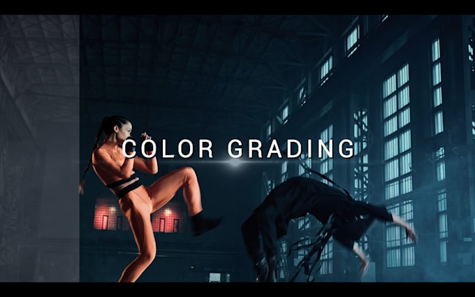 do professional video color correction and color grading