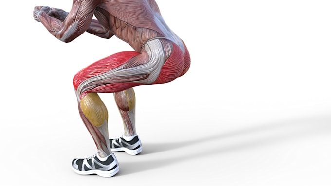 provide stock fitness animations in a close up style