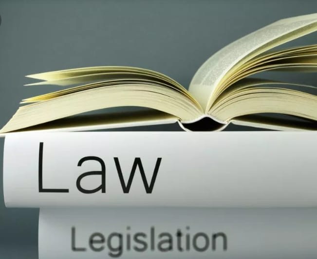 assist in legal research, memo, case briefs, law, and contracts