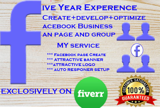 create,develop and optimize facebook business page and group