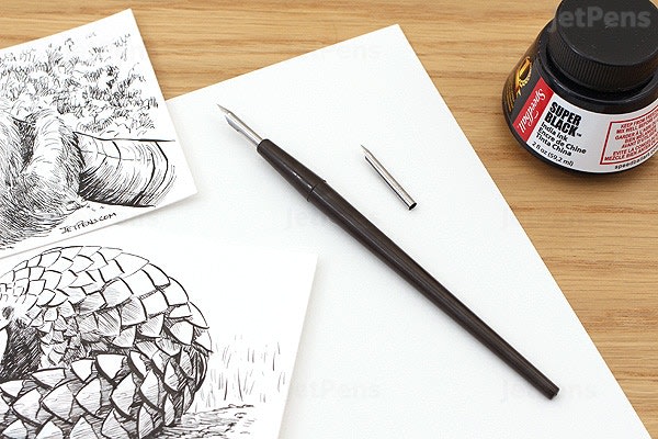 create ink illustration for you using quill and ink method