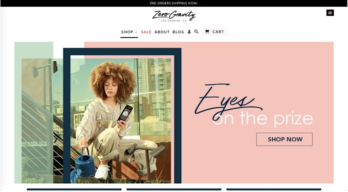 build shopify website, dropshipping shopify website design