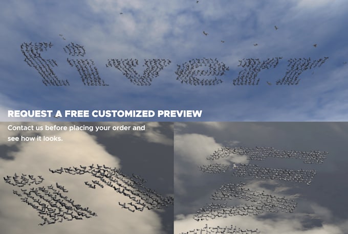 do a skydive formation with your logo or text