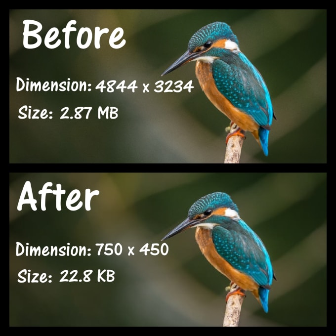 Compress and resize images for your website to improve seo by ...