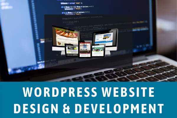 build a professional wordpress website or landing page