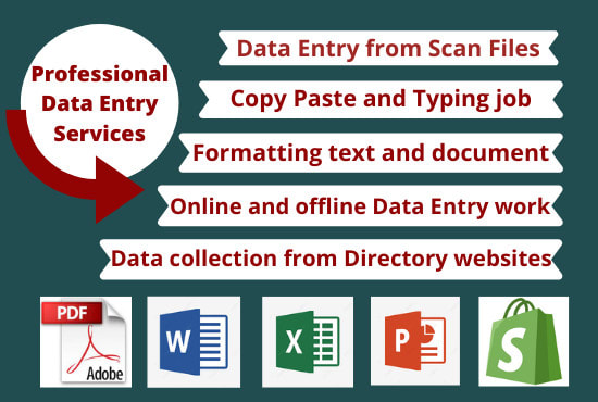 do data entry, web research, data collection, copy paste