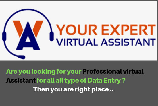 be your personal virtual assistant for data entry, admin support