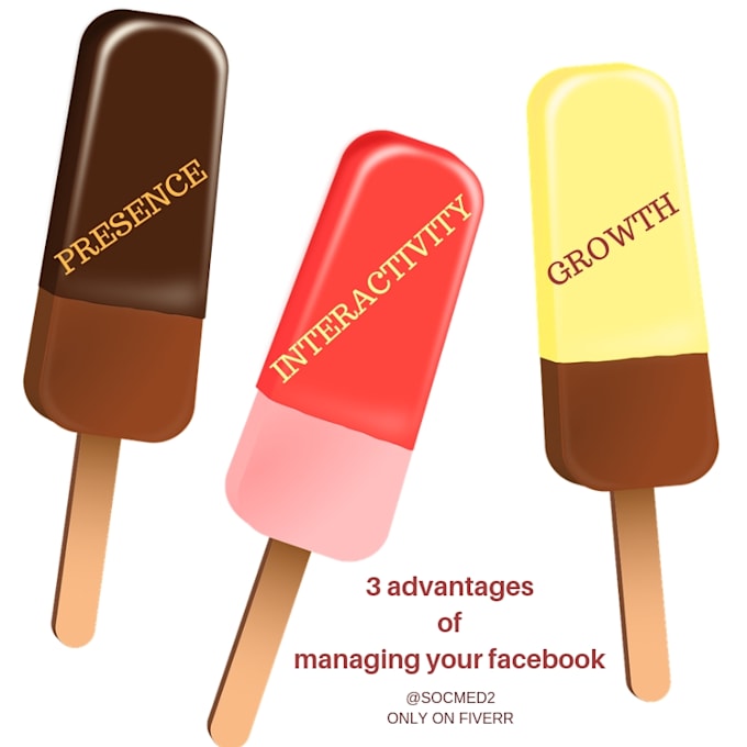 be your facebook social media manager plus bonus