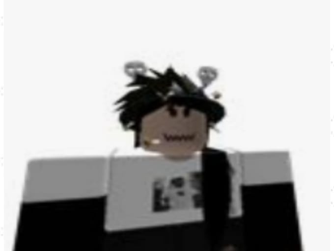 Make A Roblox Character For You By Phxnets
