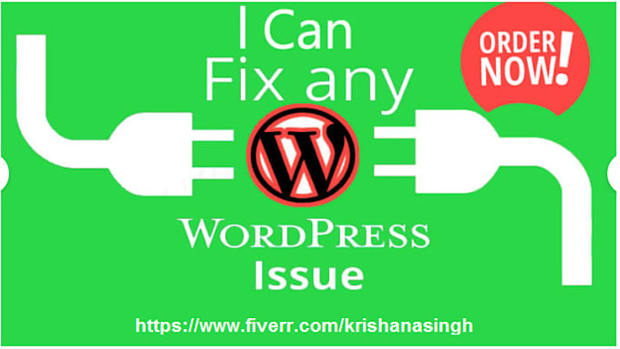 fix any wordpress error, issue in few hours
