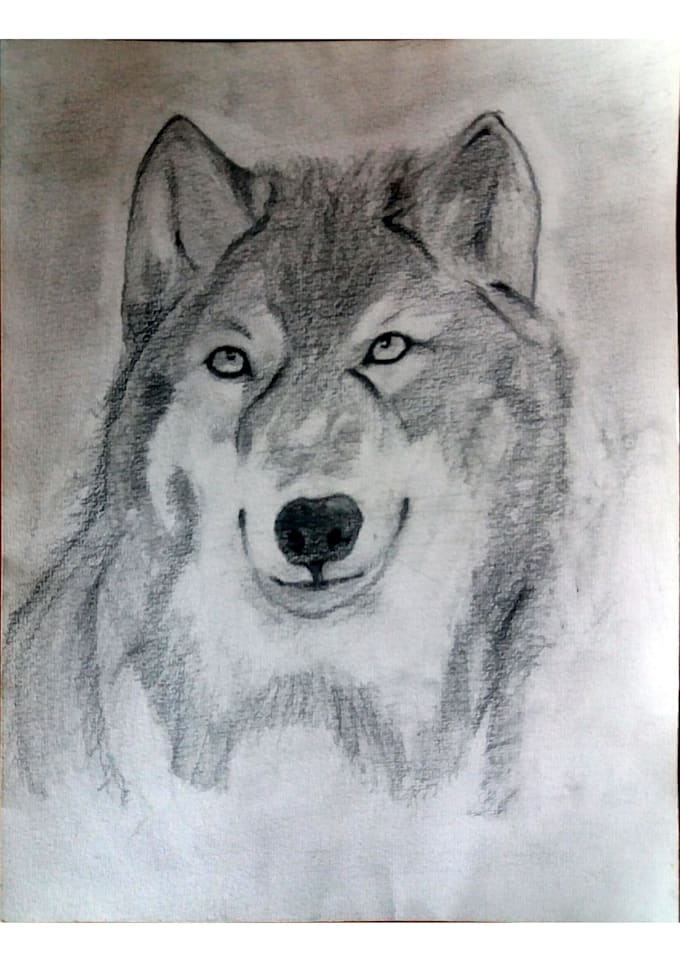 Do A Unique Hand Drawn Pencil Sketch By Yassinart