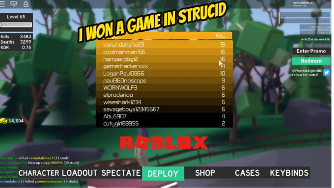 Play Roblox With You Any Game By Sivaswiss Fiverr - chicken studio roblox games