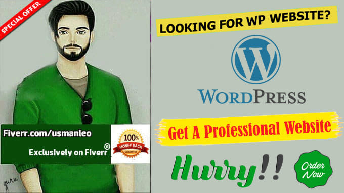 build professional wordpress website design or blog