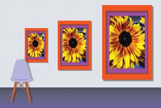 resize and crop images for amazon, ebay, and shopify etc