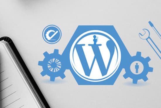 be your wordpress website expert