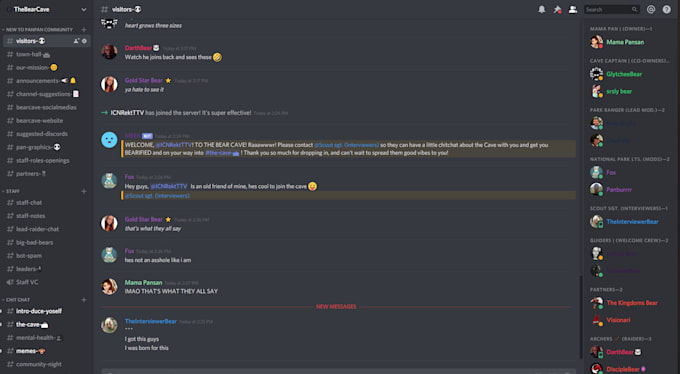 setup your discord server to look professional