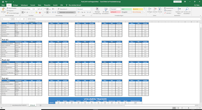 Create Your Perfect Individual Personal Workout Plan By Tobiaspagitsch 