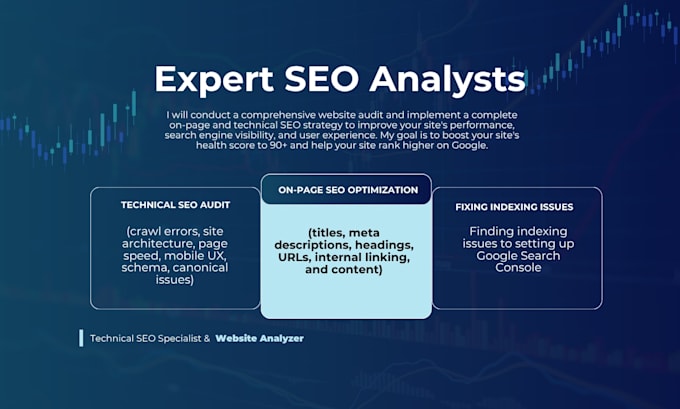 perform technical SEO, conduct a complete website audit, and google web master